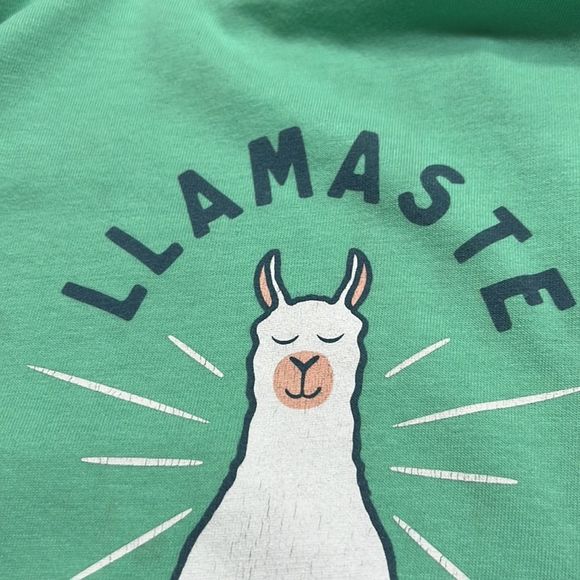 Life Is Good Namastay Llamastay 6 Feet Apart Llama Teal T Shirt Sz M EUC - Picture 4 of 9
